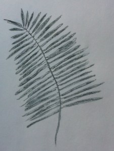 Palm 2