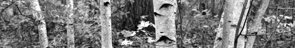 how big is your&nbsp;world?