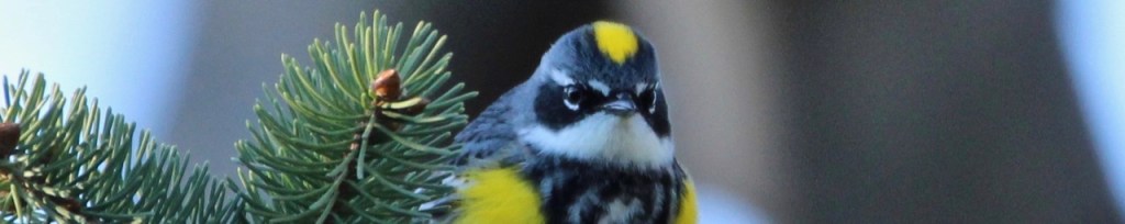 What are you not&nbsp;seeing?