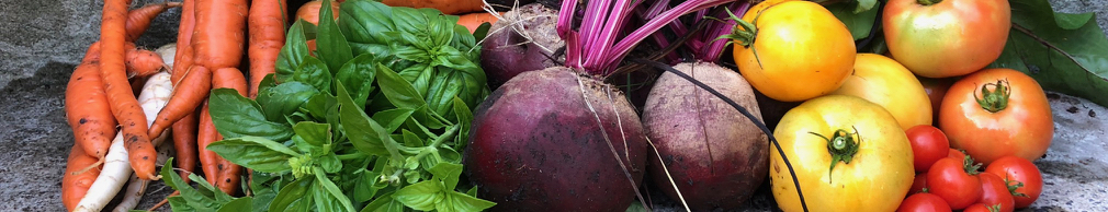 My garden won’t save the&nbsp;world…