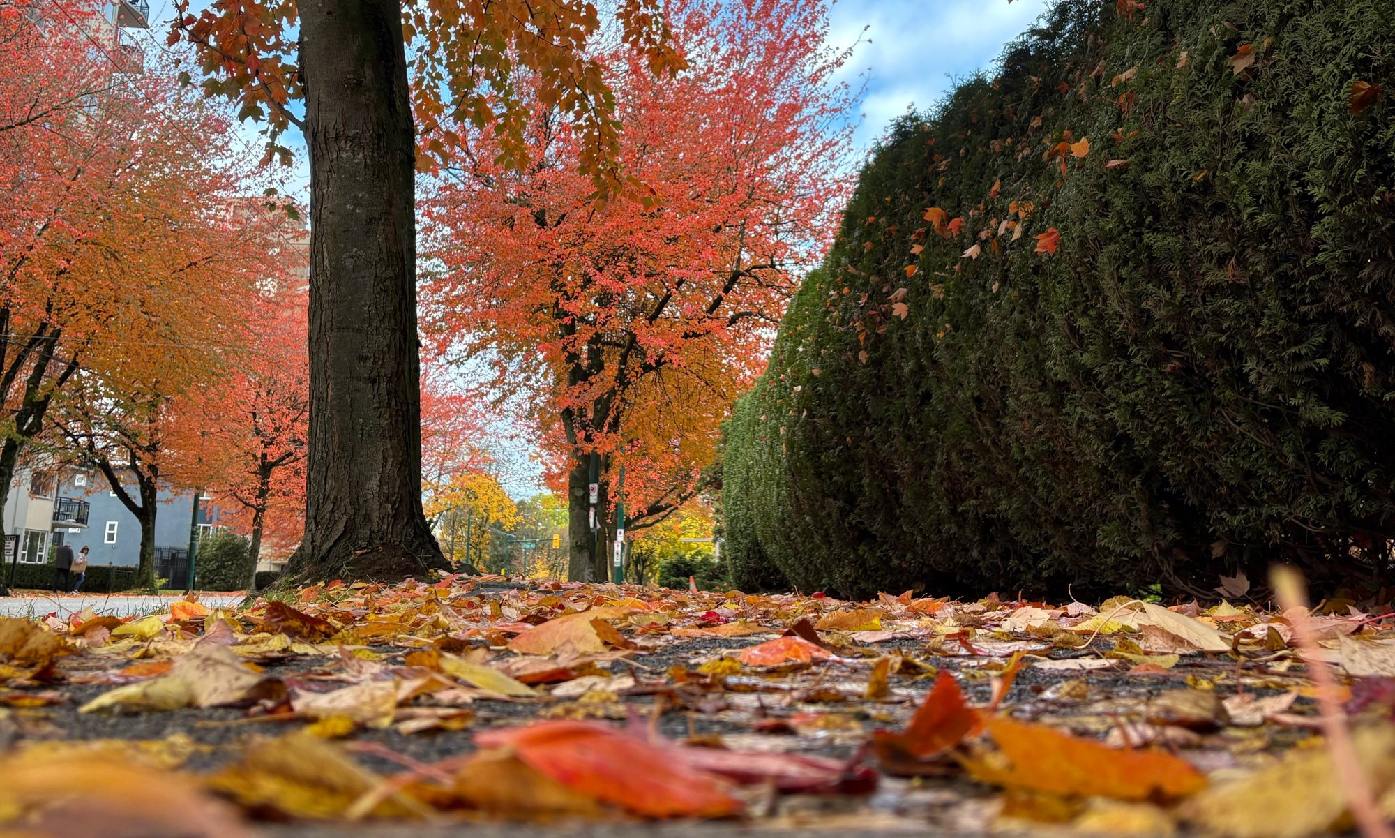 Autumn Parish